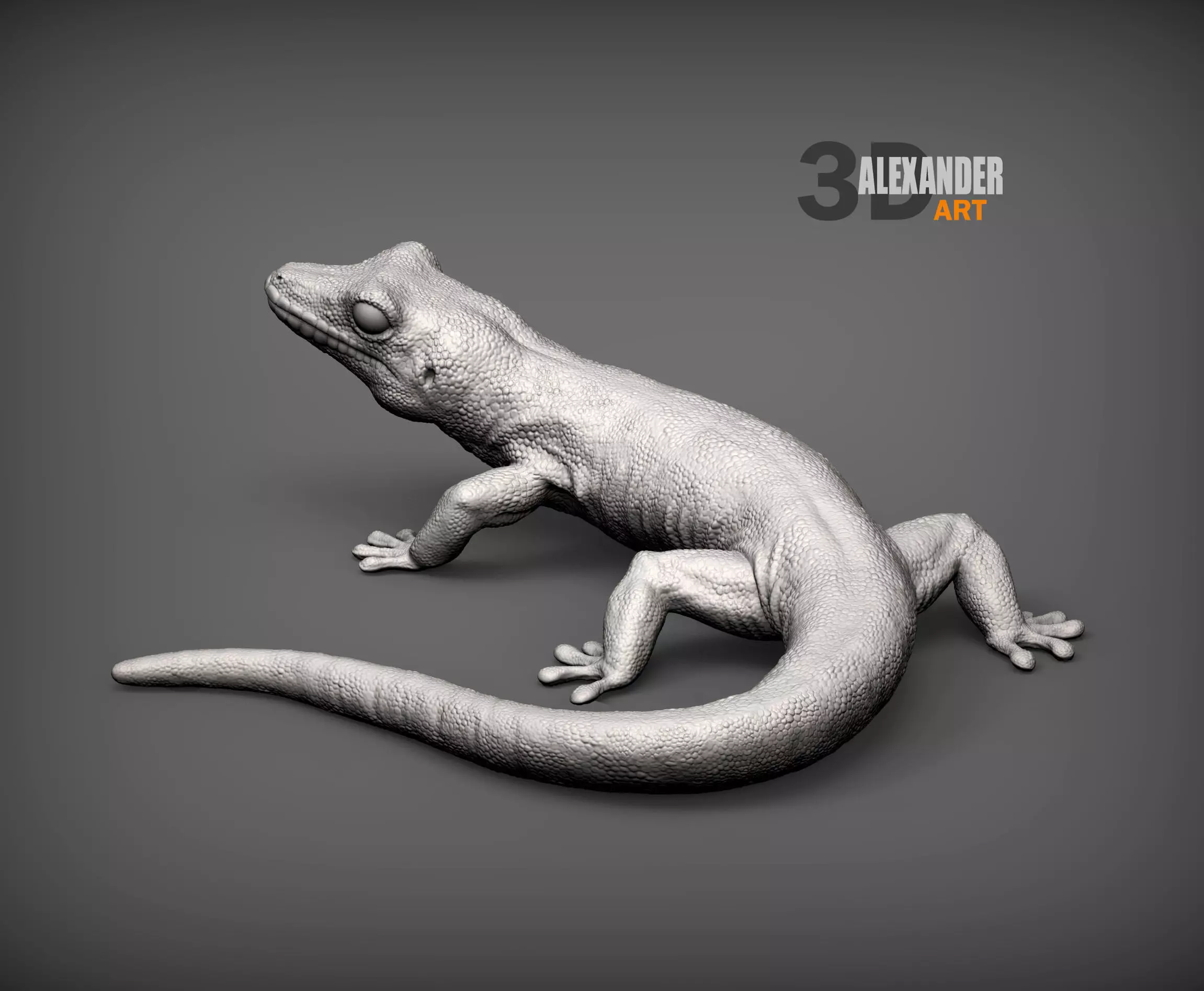 Day Gecko 3D print model_0