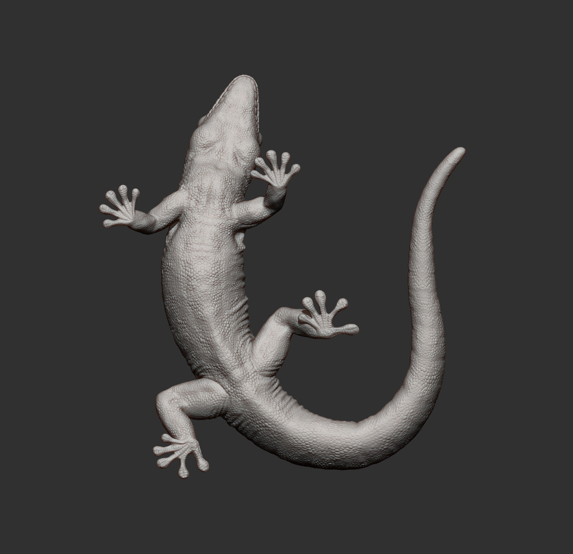 Day Gecko 3D print model_7