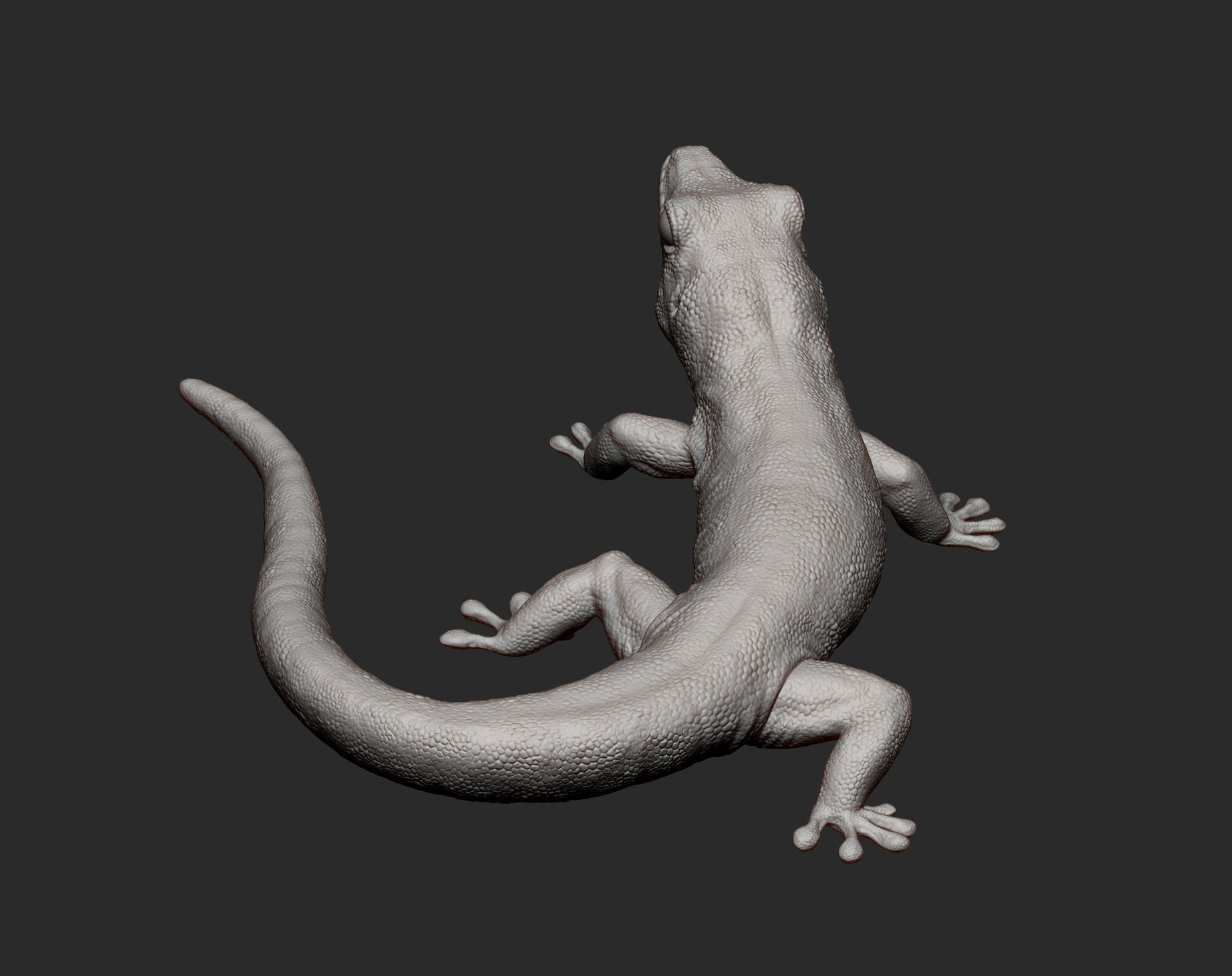 Day Gecko 3D print model_9
