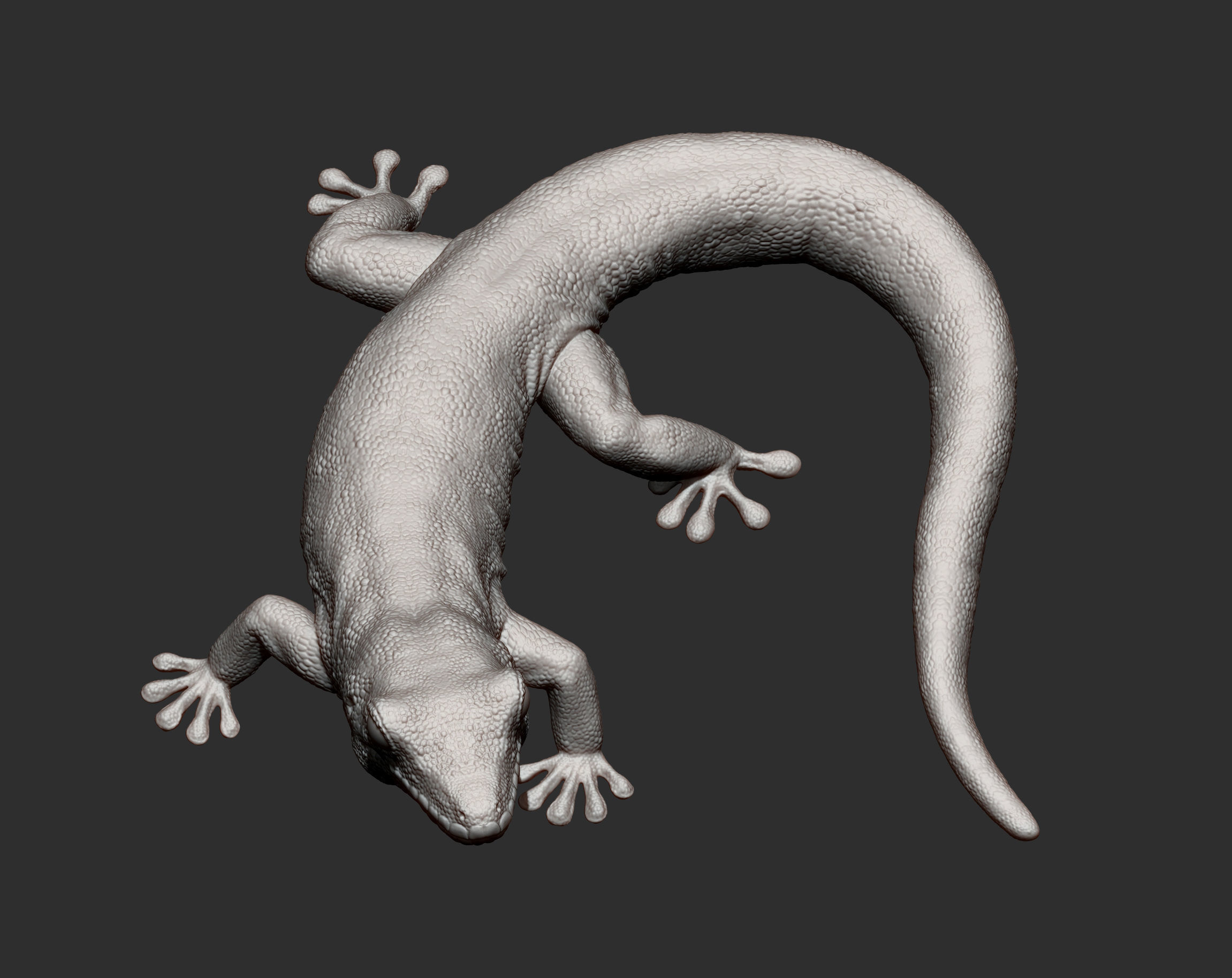 Day Gecko 3D print model_6