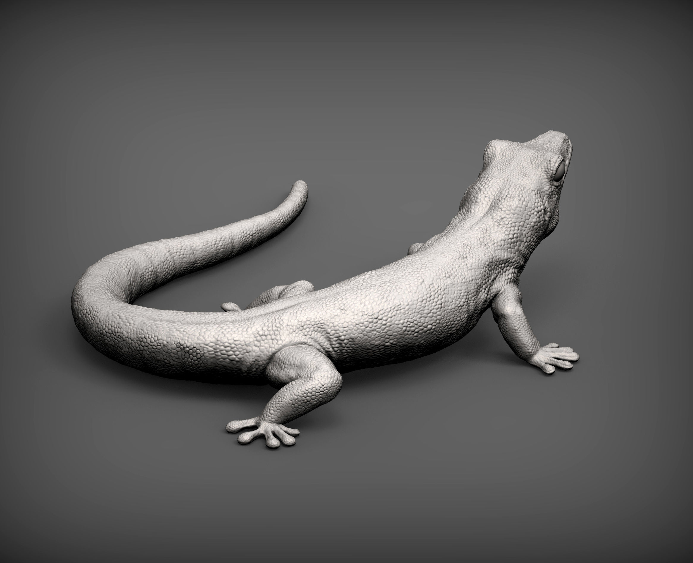 Day Gecko 3D print model_5