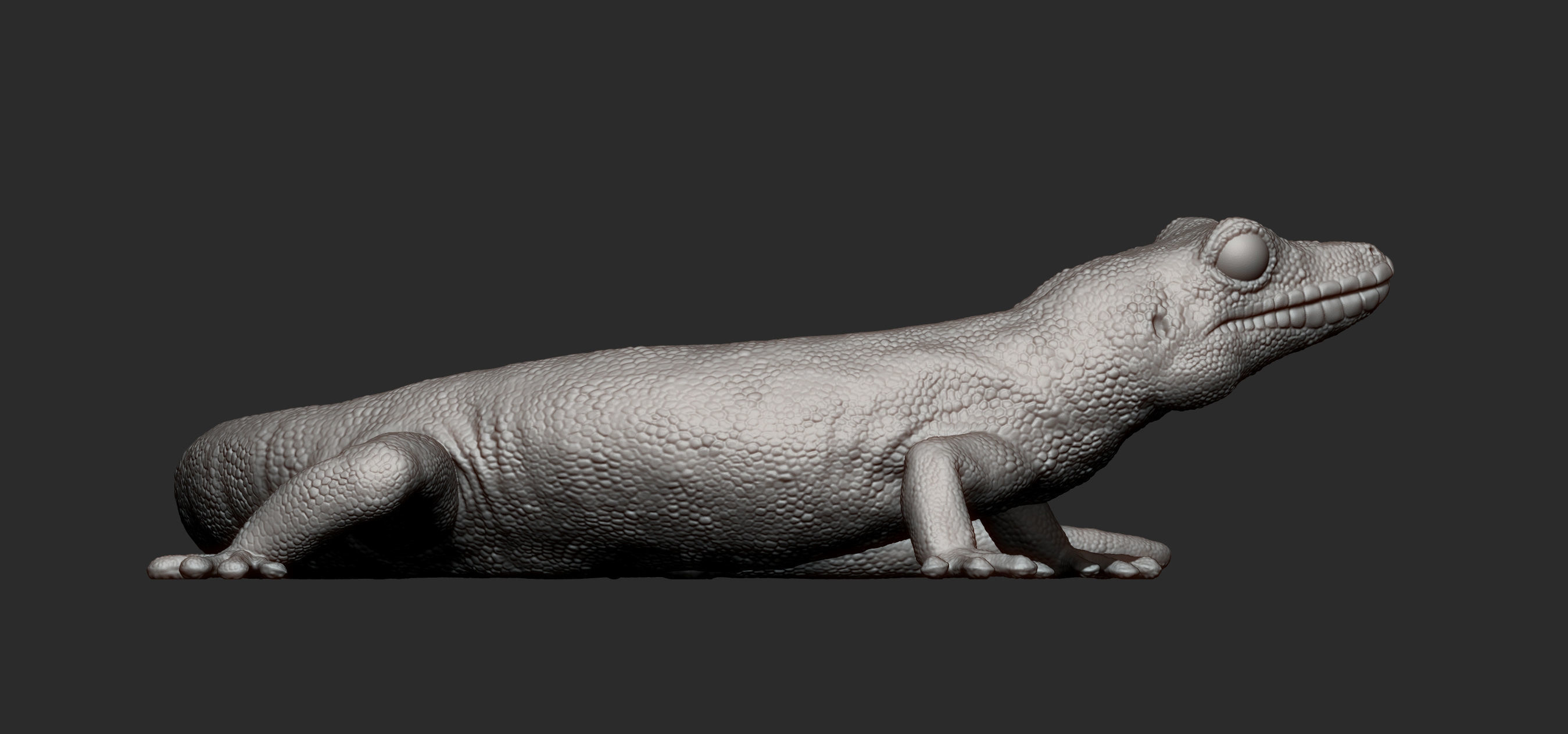 Day Gecko 3D print model_10