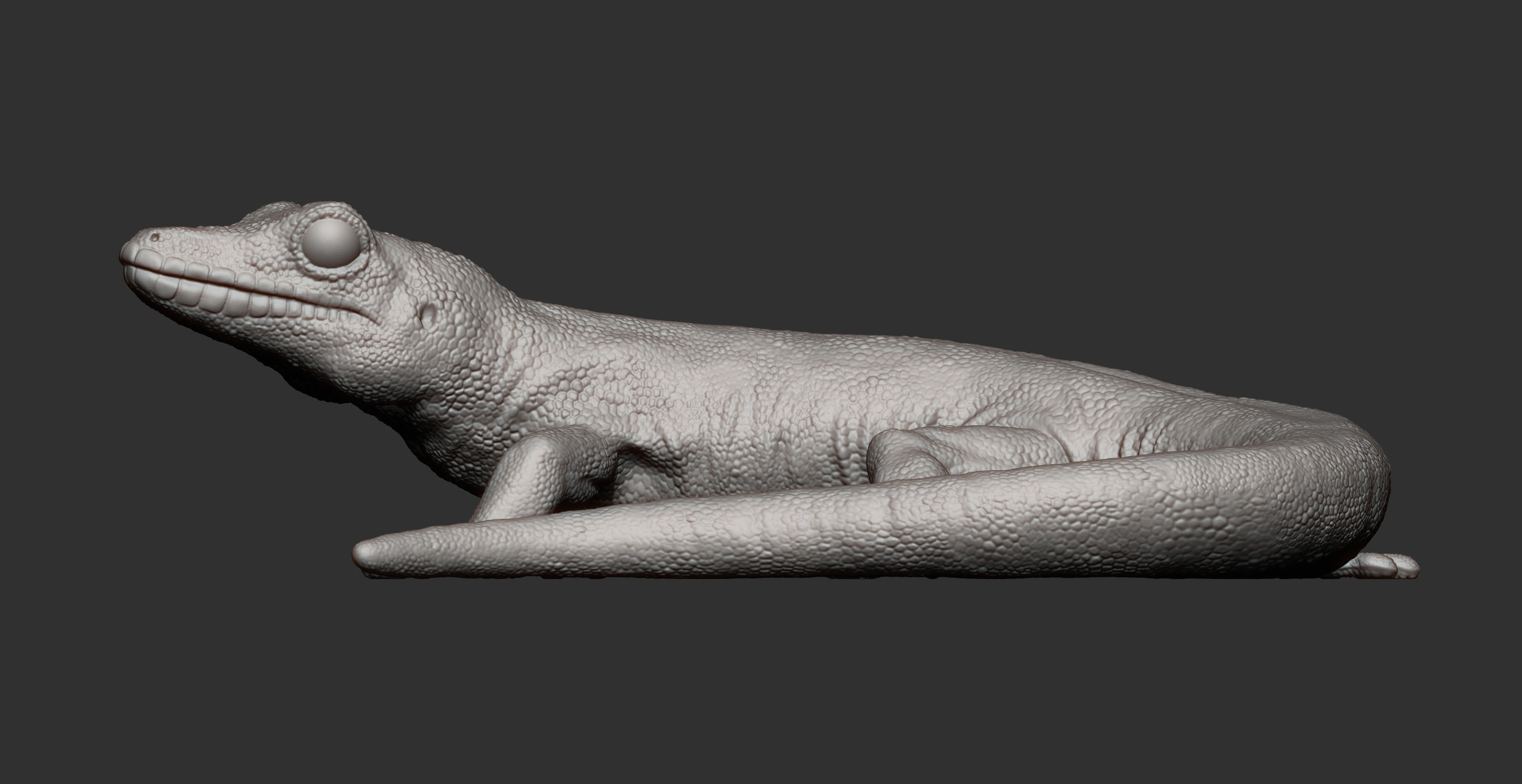 Day Gecko 3D print model_12