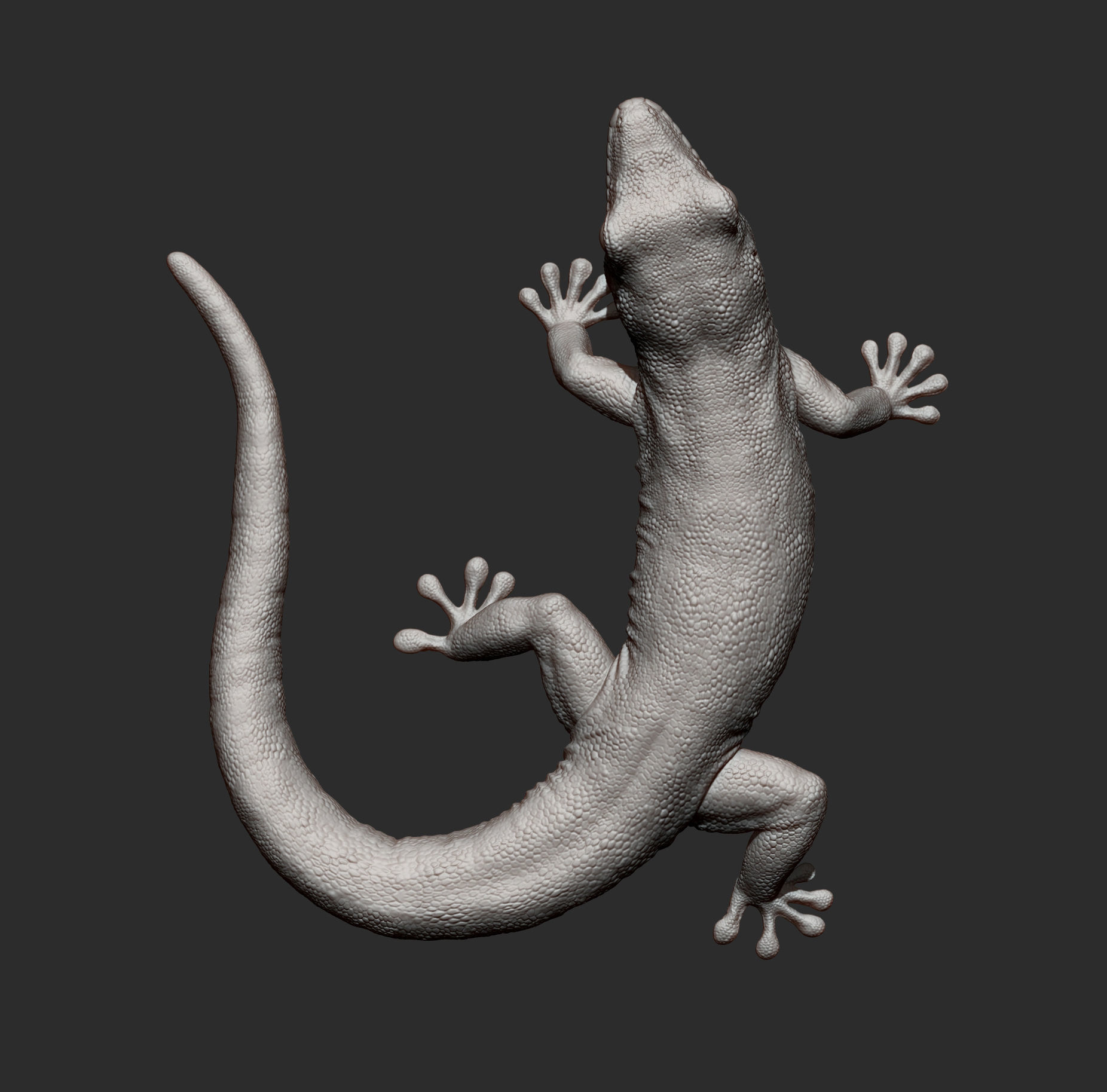 Day Gecko 3D print model_8