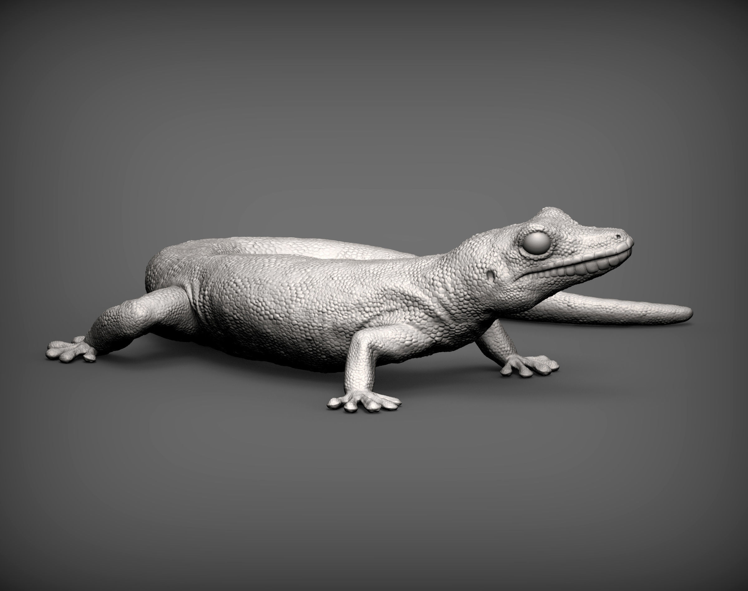 Day Gecko 3D print model_4