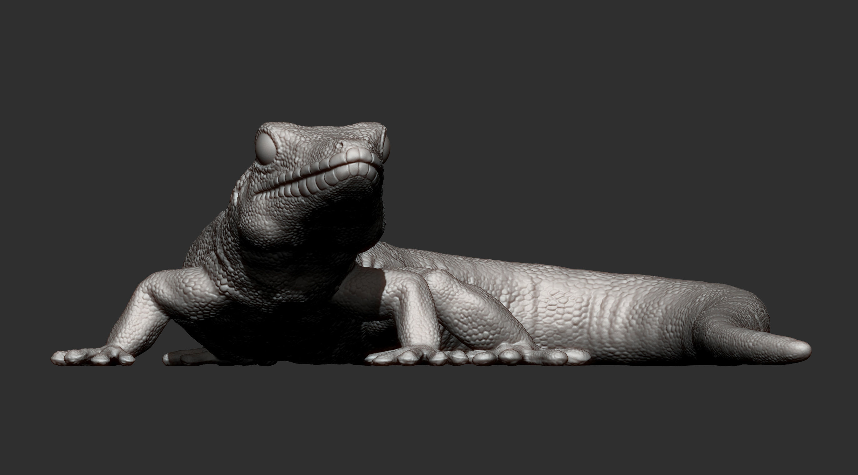 Day Gecko 3D print model_13