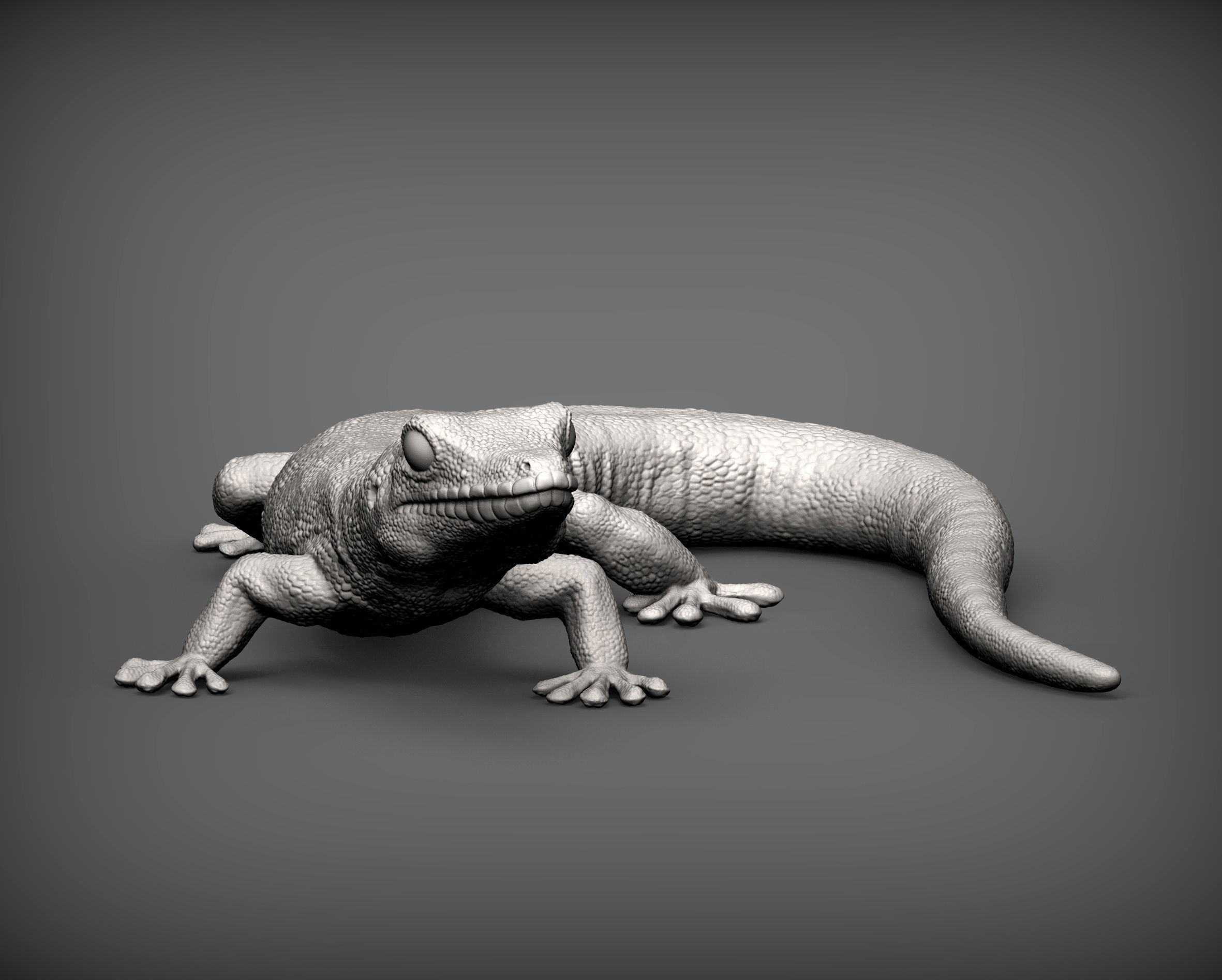 Day Gecko 3D print model_3