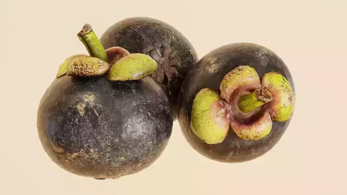 Mangosteen v2