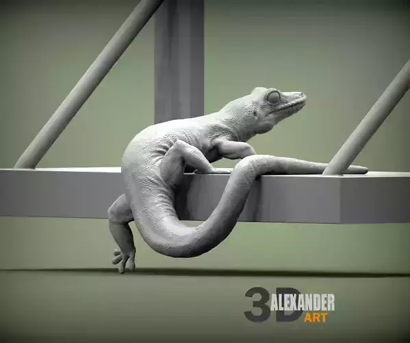 Day Gecko on the shelf 3D print model