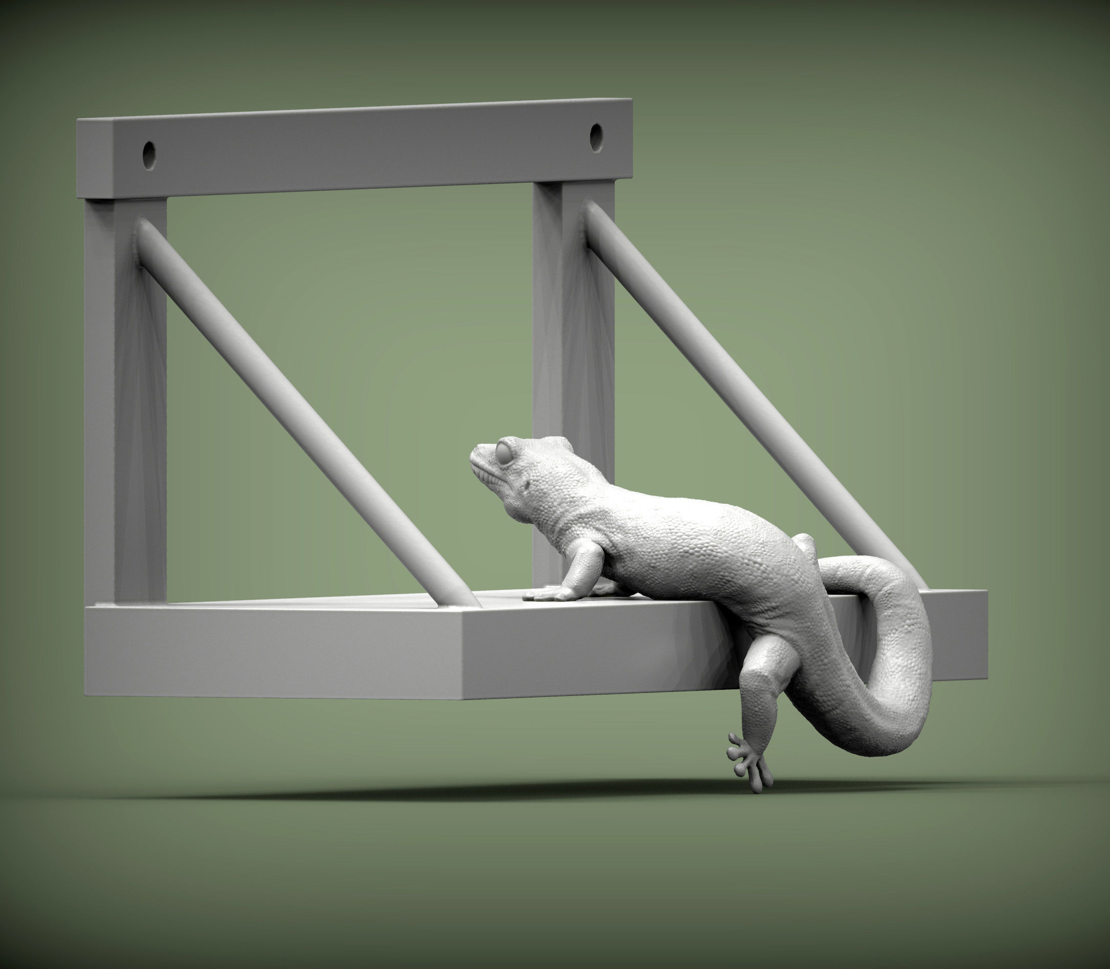 Day Gecko on the shelf 3D print model_4