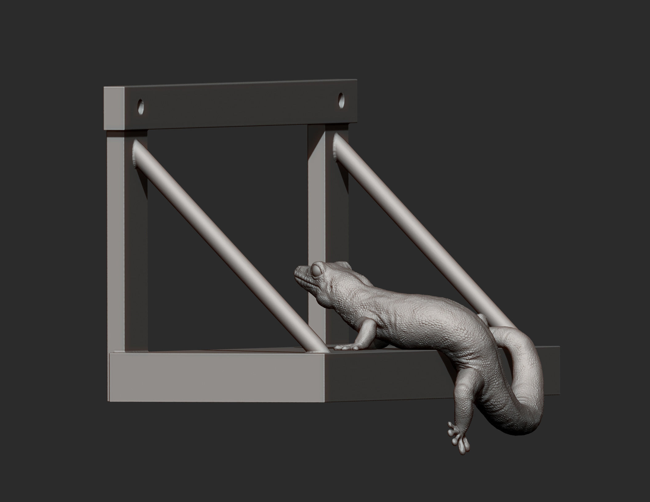 Day Gecko on the shelf 3D print model_11