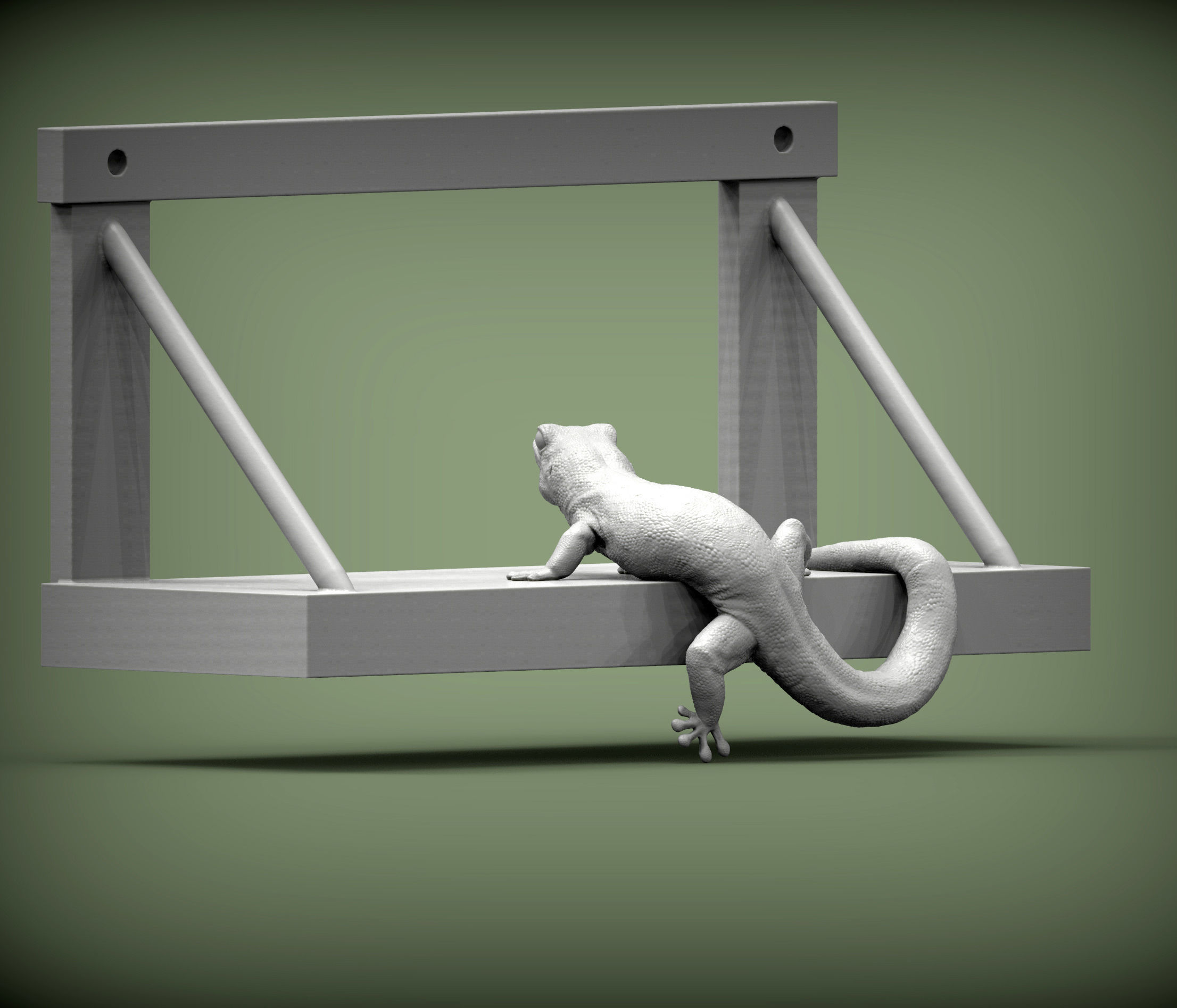 Day Gecko on the shelf 3D print model_3
