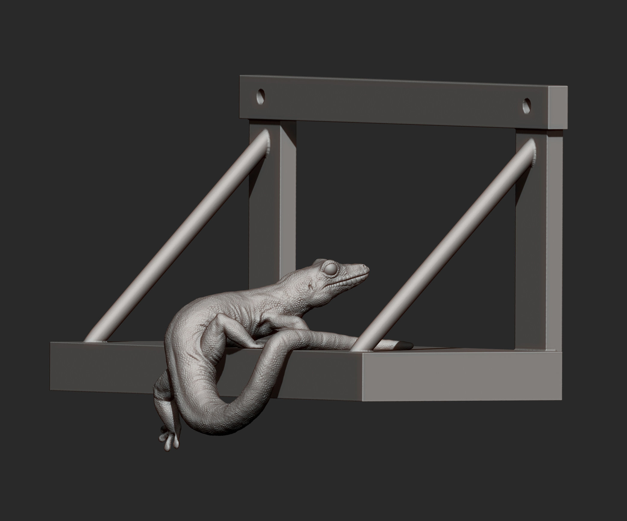 Day Gecko on the shelf 3D print model_8