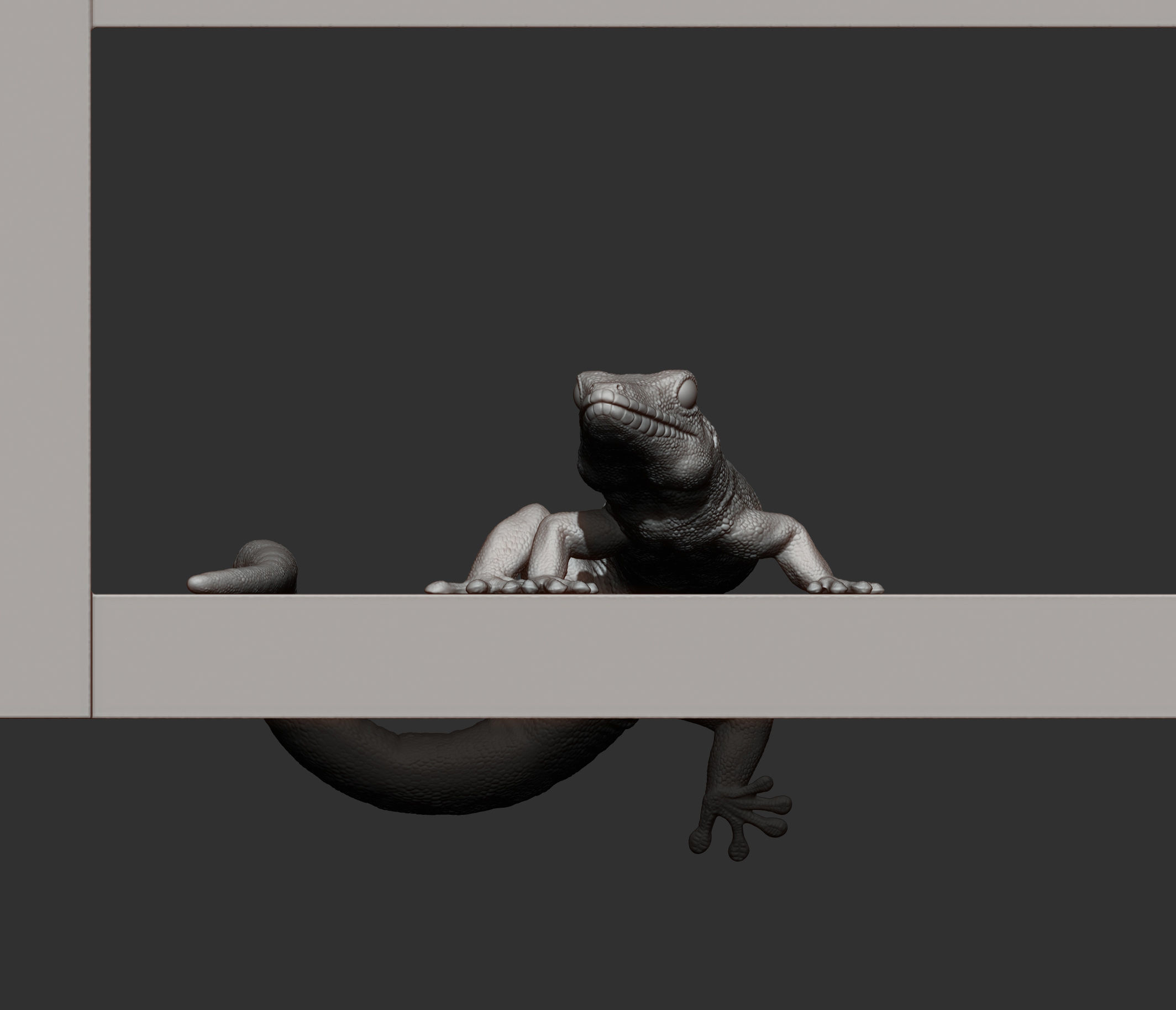 Day Gecko on the shelf 3D print model_10