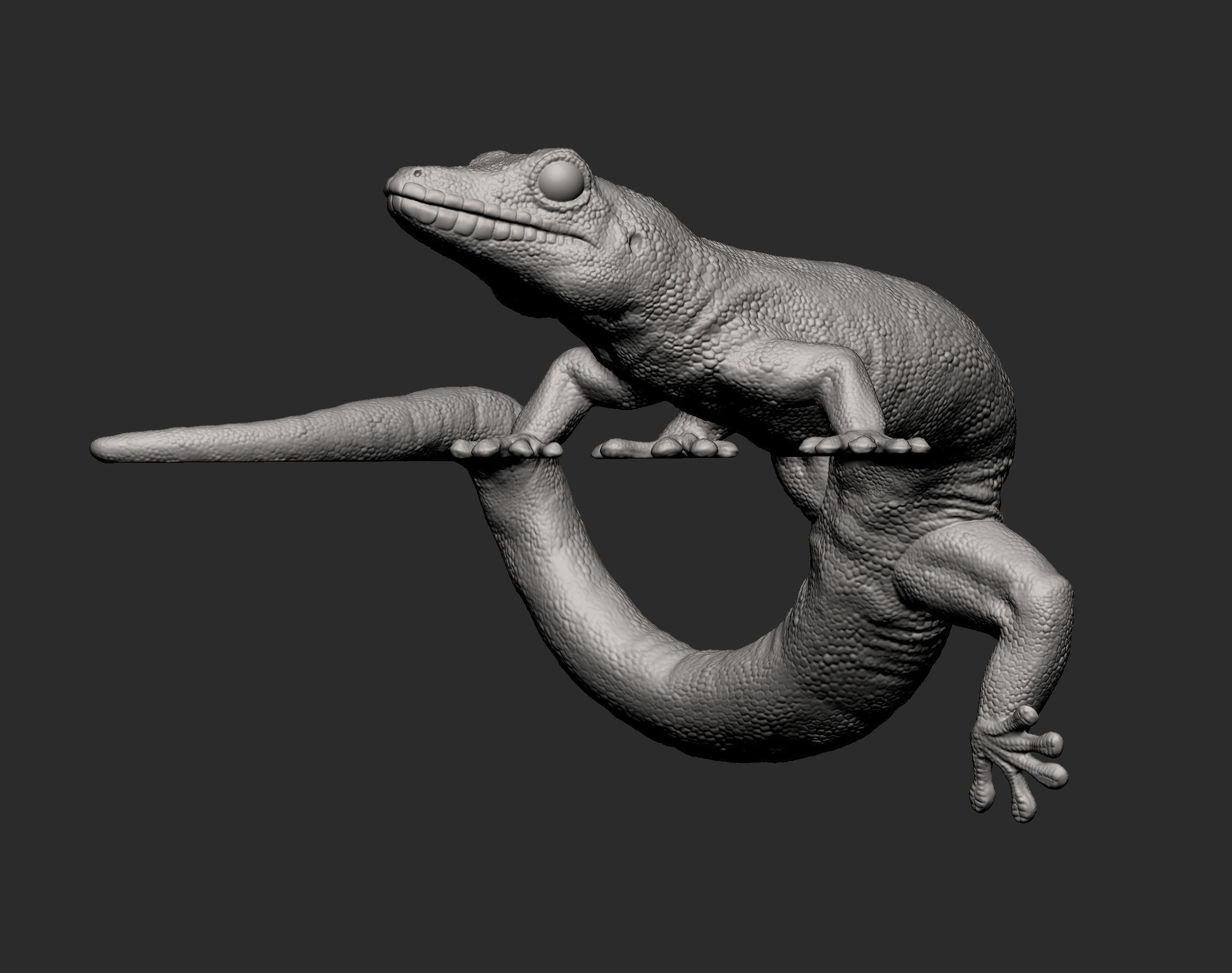 Day Gecko on the shelf 3D print model_12