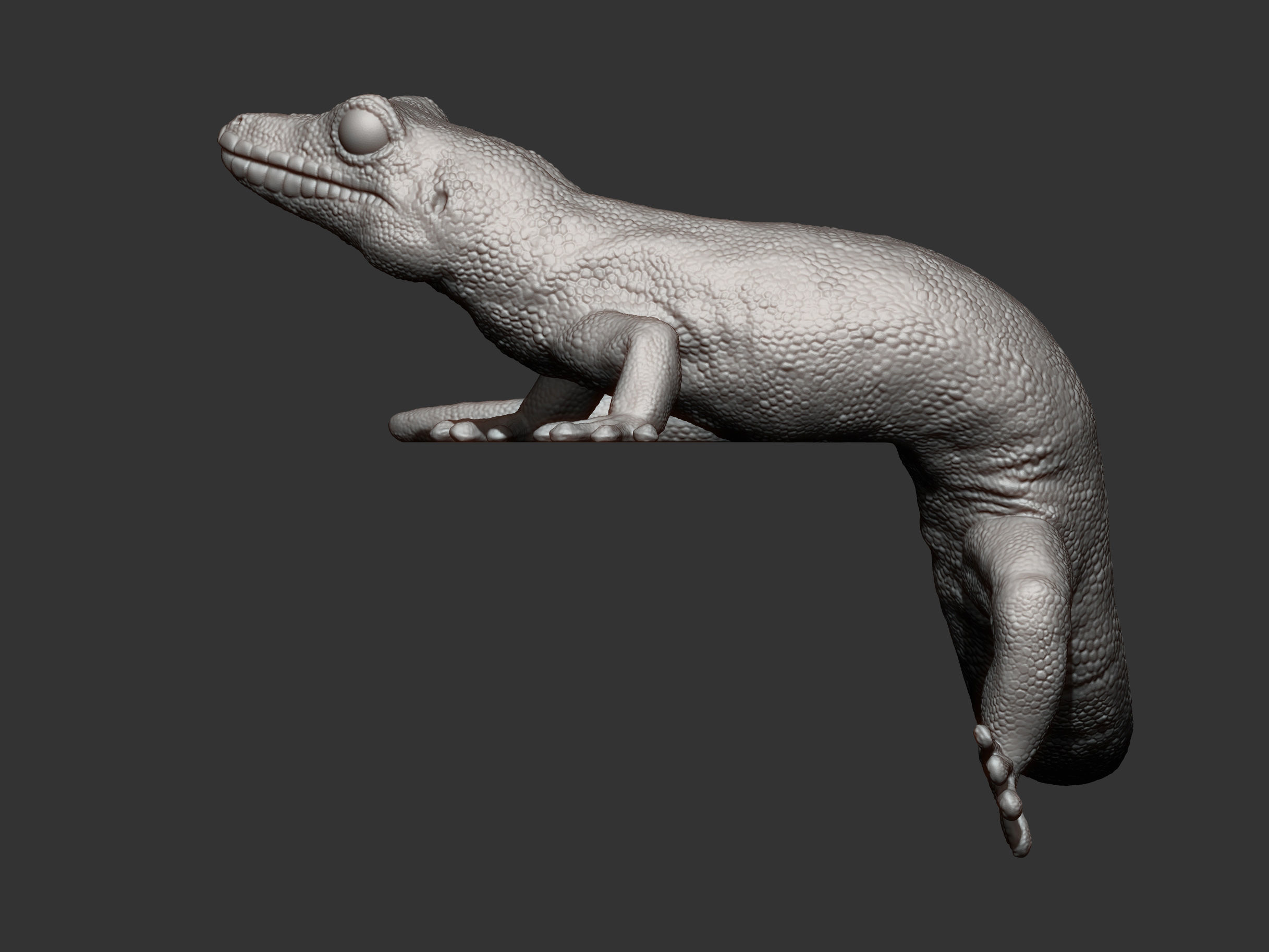 Day Gecko on the shelf 3D print model_6