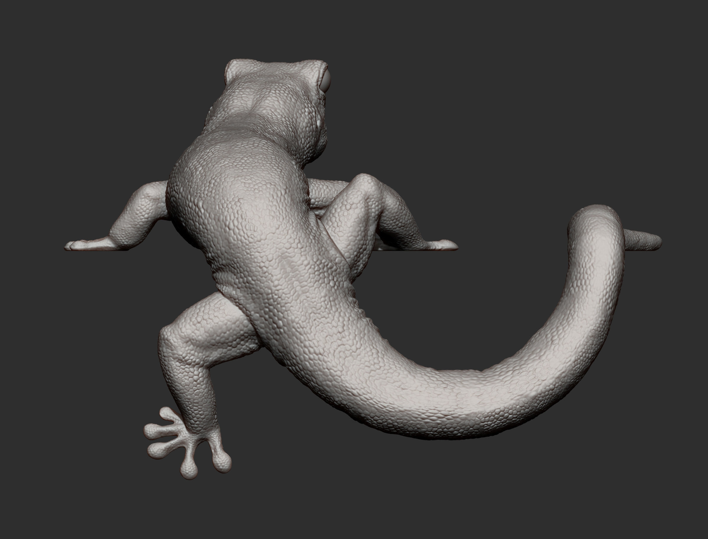 Day Gecko on the shelf 3D print model_7