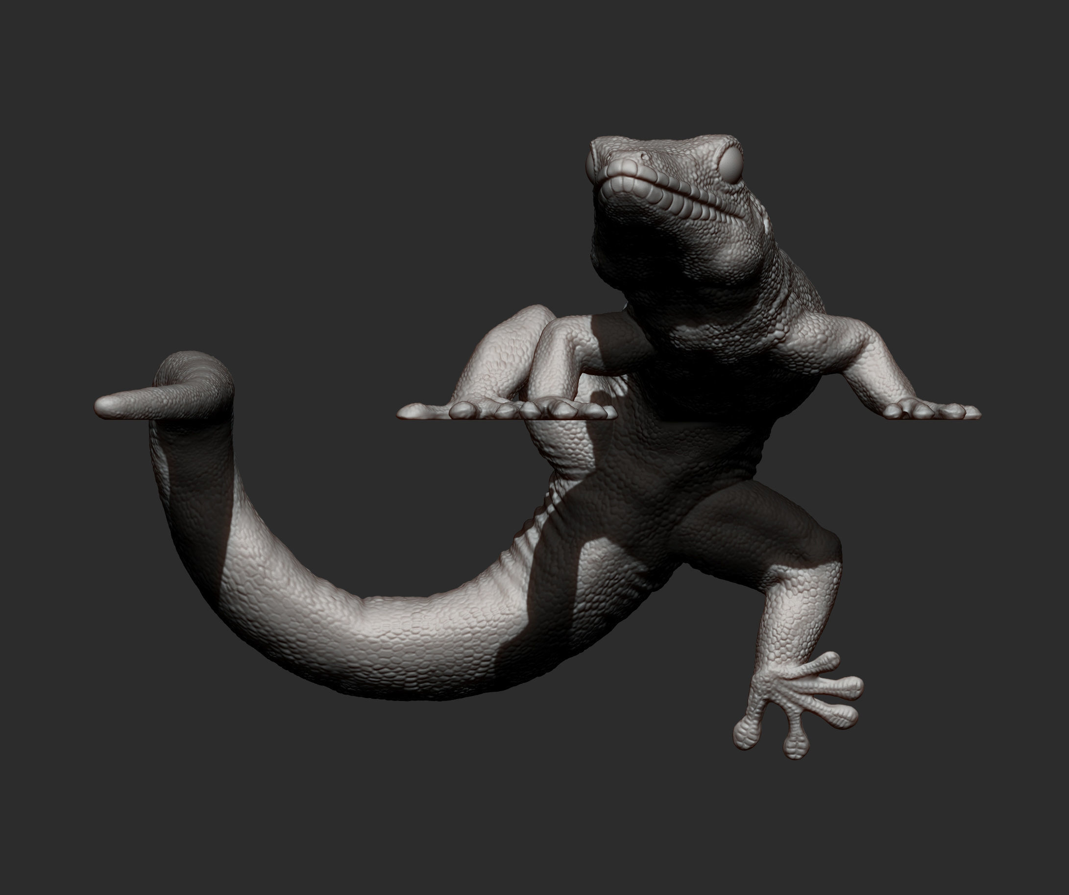 Day Gecko on the shelf 3D print model_13