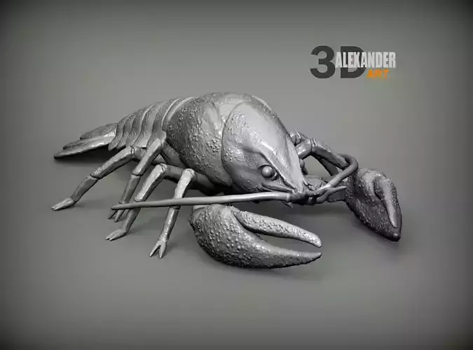 Crayfish  3D print model 3D print model