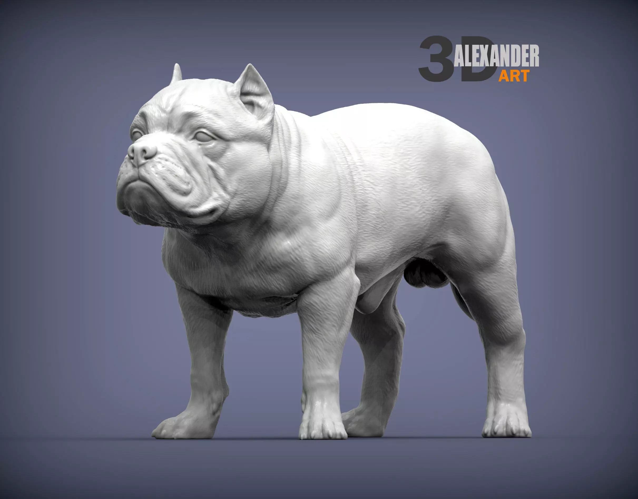 American Bully standing 3D print model_0