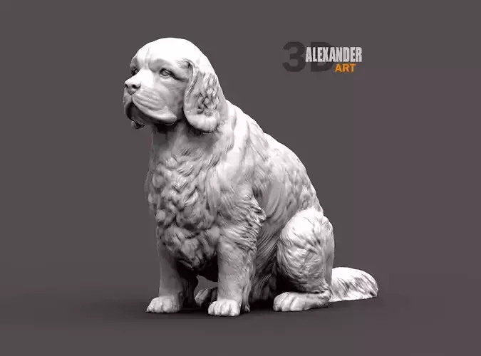 clumber spaniel sitting 