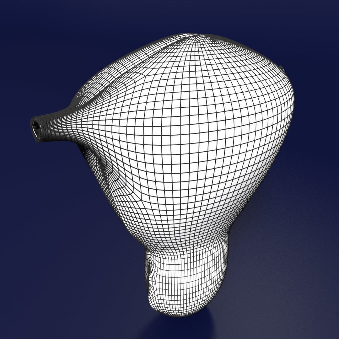 Uterus cut open bisected labelled detail Low-poly 3D model_13