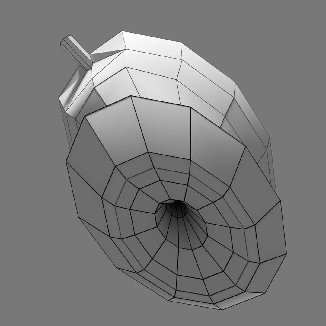 Uterus cut open bisected labelled detail Low-poly 3D model_15