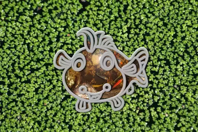 Aqua Feeder Clown Fish-01