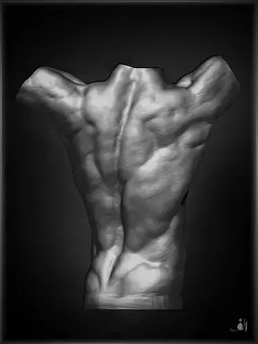 free 3d male anatomy torso 3dprint