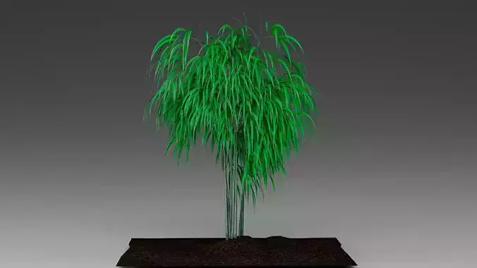 Decorative bamboo 3D model