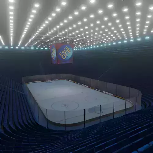 VR Ice Hockey Stadium