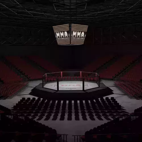VR MMA Octagon Cage Ring