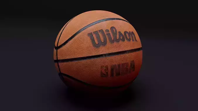 Realistic Wilson Basketball