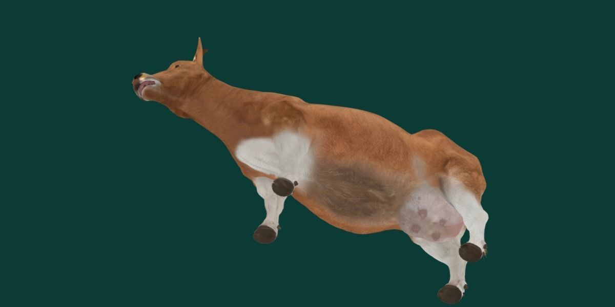 Javan Banteng Cattle 3D model_15