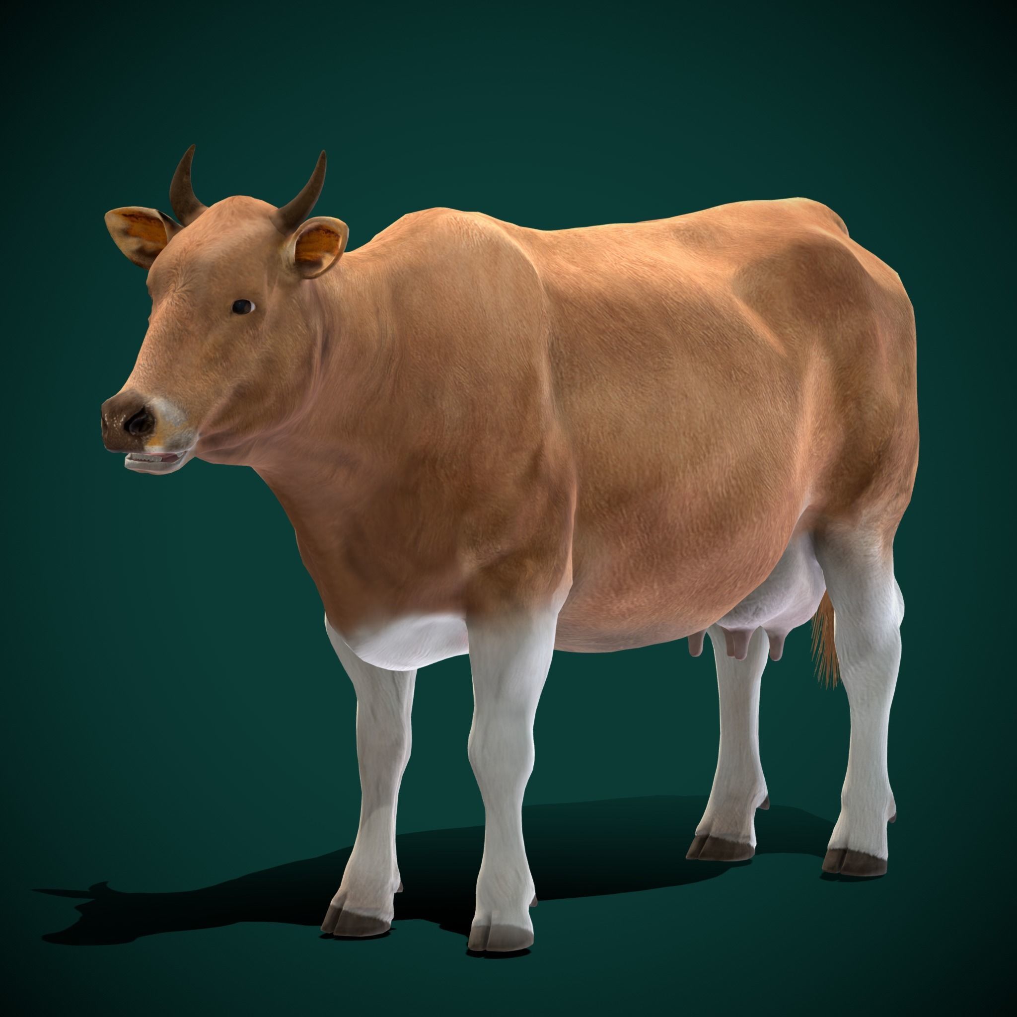 Javan Banteng Cattle 3D model_12