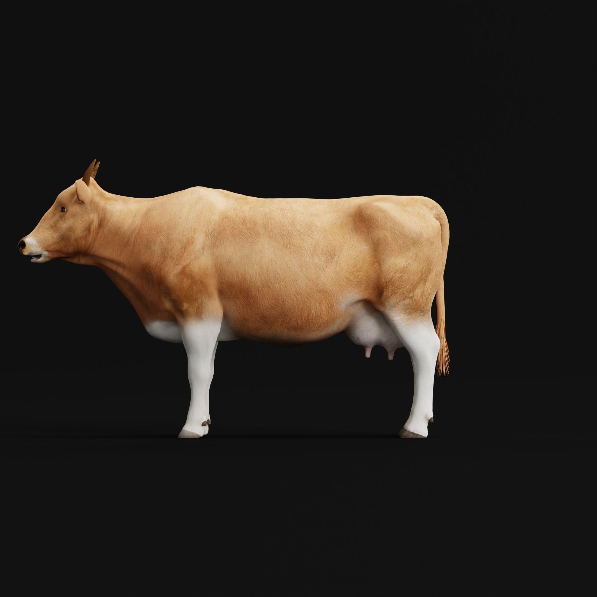 Javan Banteng Cattle 3D model_4