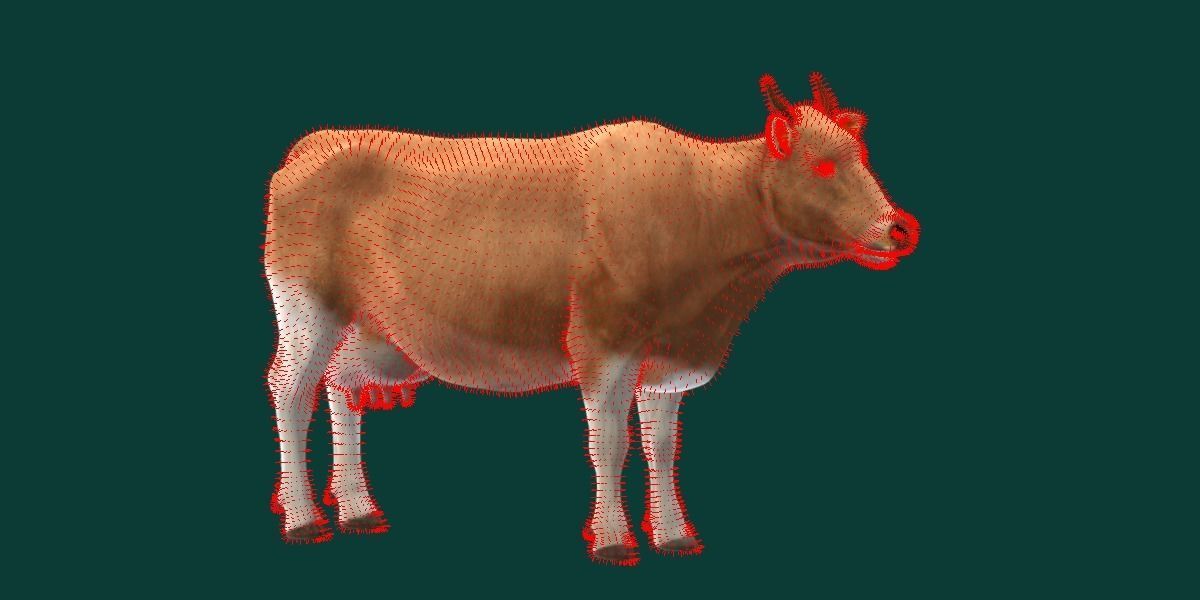 Javan Banteng Cattle 3D model_9