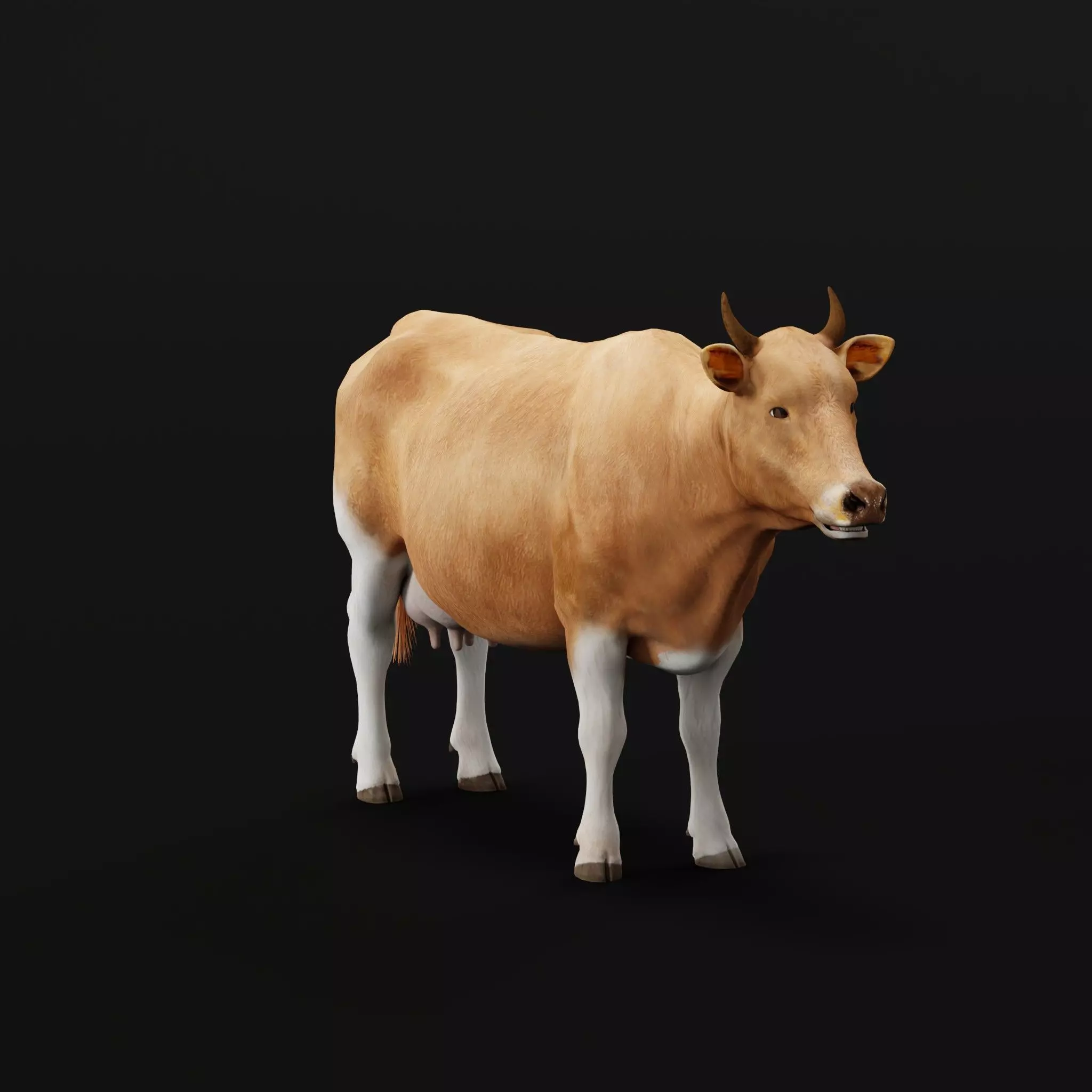 Javan Banteng Cattle 3D model_0