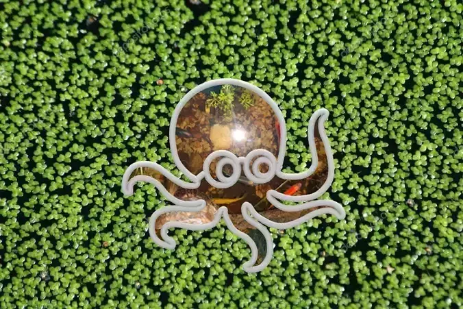 Aqua Feeder Octopus 3D print model