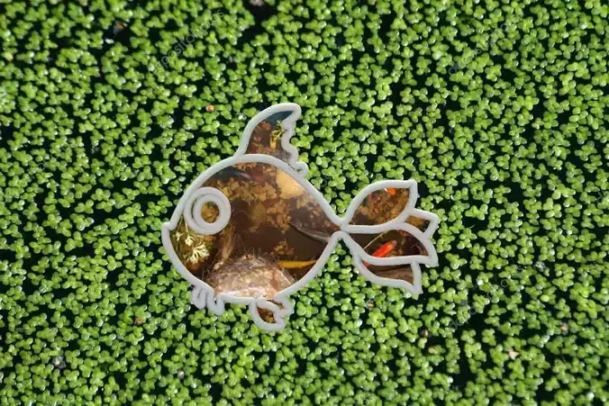Aqua Feeder Piranha fish 3D print model
