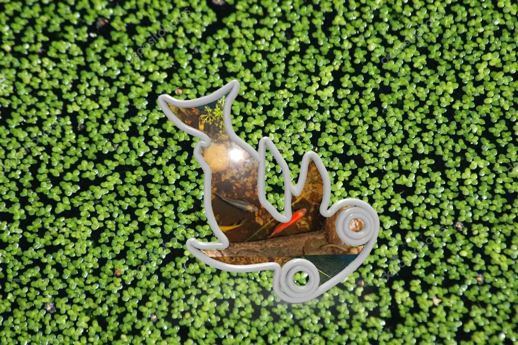 Aqua Feeder Shark 3D print model_0