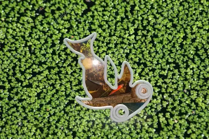 Aqua Feeder Shark 3D print model