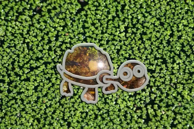 Aqua Feeder Turtle-01