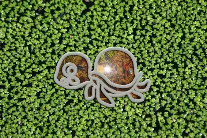 Aqua Feeder Turtle-02