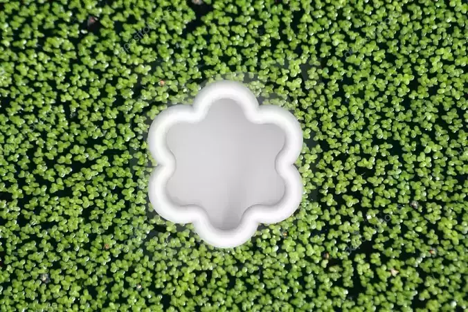 Aqua Food Feeder Waste proof 