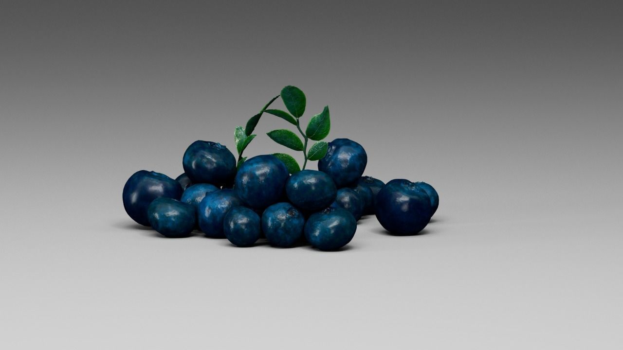 Blueberry 3D model_10