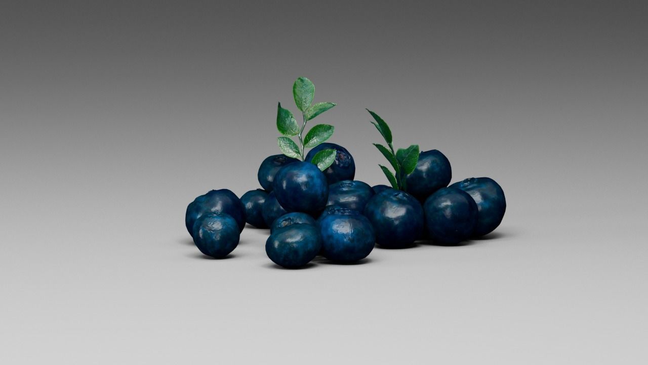 Blueberry 3D model_21