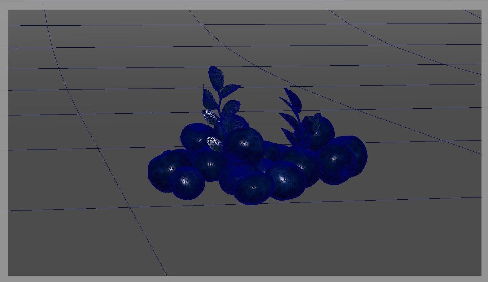 Blueberry 3D model_26