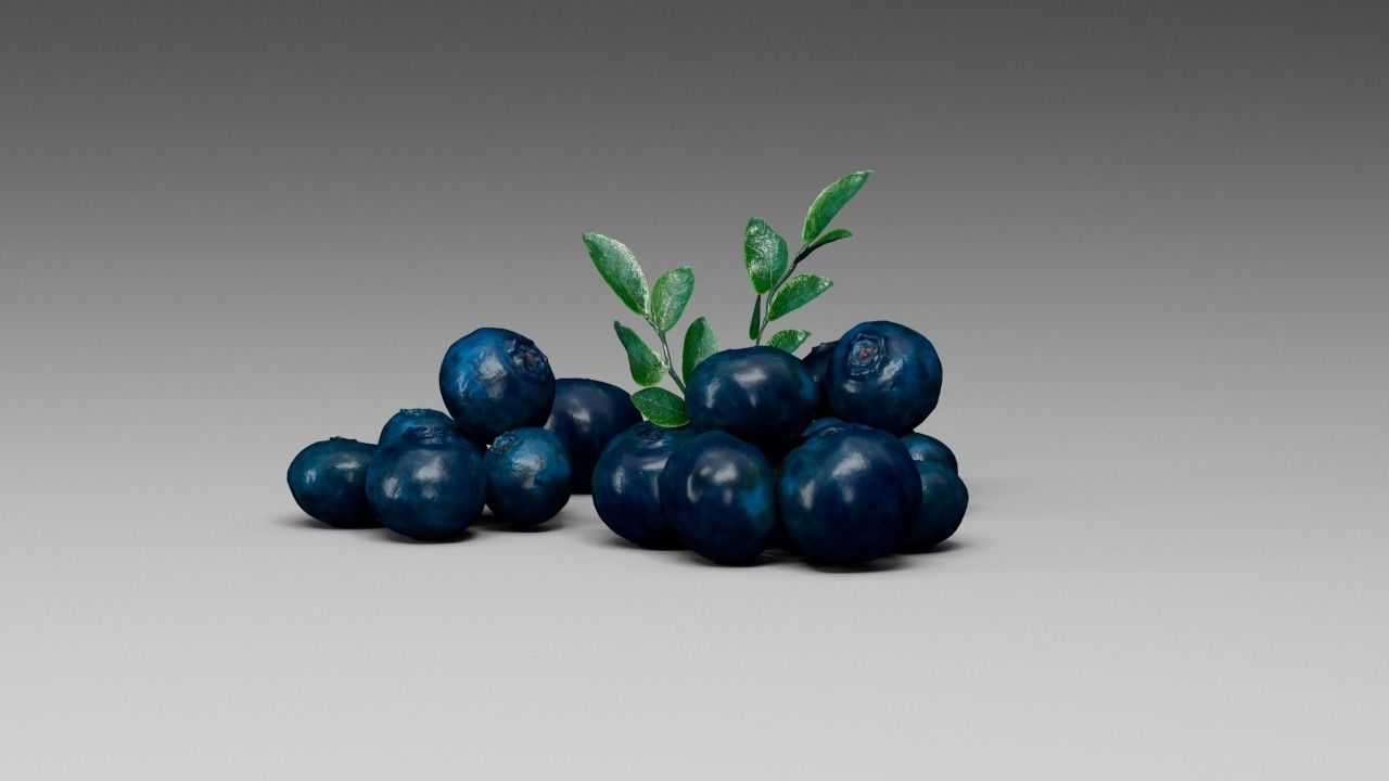 Blueberry 3D model_16