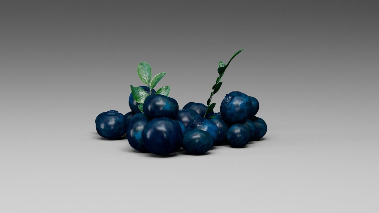 Blueberry 3D model_14